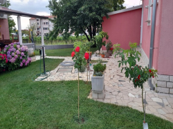 Apartmany Apartmani.Dragica Poreč