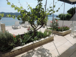 Apartmany Perica Viganj (Ostrov Pelješac)