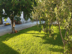 Apartmany Bogdan Vodice