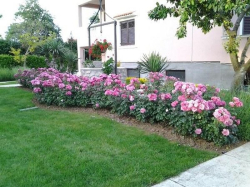 Apartmenthaus Martina Zaton (Zadar)