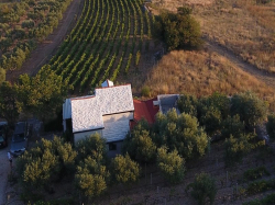 Rekreačný dom Ana Bol (Ostrov Brač)